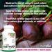 PlantVital Organic Beet Root Capsules - 1400mg per dose Beet Root Powder Beet Root Supplement Antioxidant Supplement - Protects Against Oxidative Damage and Free Radicals - 360 Vegan Capsules 6-Month Supply 360 count (Pack of 1) - Buy Online on GoSupps.com