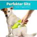 Dog is K nig Male Dog Diapers 3 Pcs - Comfortable Washable & Eco-Friendly Incontinence Solution | Suction-Strong XL (59-65cm) | Easy to Clean Black Blue Green - Buy Online on GoSupps.com