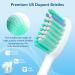 8 Pack Soft Replacement Toothbrush Heads | Compatible with Philips Sonicare | Click-on Design | High-Quality Brush Heads - Buy Online on GoSupps.com
