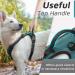 Eagloo Large Dog Harness - Adjustable Anti-Train Control Harness with Reflex Strips for Labs & Large Dogs - Dark Green - XL (1 Pack) - Buy Online on GoSupps.com