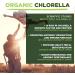 Organic Chlorella Powder 1kg - Natural Protein Source | MySuperfoods - Buy Online on GoSupps.com