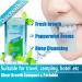 Mouthwash Travel Size Portable Original Mint Mini Mouthwash Bulk 35ml/1.2oz (24Pack Mint) Mint 28.8 Fl Oz (Pack of 1) - Buy Online on GoSupps.com