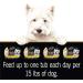 Cesar Simply Crafted Chicken Wet Dog Food - Pack of 10, 1.3 oz Pouches - Buy Online on GoSupps.com