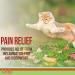 Licks Cat Ache Aid with Turmeric & Ginger Gel Packets - 10 Use | Cat Health Supplies & Pain Relief - Buy Online on GoSupps.com