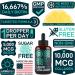 Wild Fuel Liquid Collagen Peptides with Biotin Vitamins - Hair Skin and Nails Supplement - Collagen for Hair Growth - Lemon Flavor - 2oz 1 Pack - Buy Online on GoSupps.com