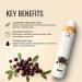 GK Hair Global Keratin Acai Treatment 300ml - Vegan Smoothing Blowout for Silky Frizz-Free Hair | Formaldehyde Free - Buy Online on GoSupps.com