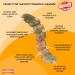 Nylabone Extreme Power Chew Gator Tail Alternative Dog Chew Toy Chicken Flavour - Large/Giant (Up to 23kg) - Buy Online on GoSupps.com