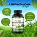 Ashwagandha Extract Capsule - Great Strength Blended Ginger Root Turmeric Curcumin Alkanet Root and Black Pepper - 60 Capsules - 2 Month Supply - Buy Online on GoSupps.com