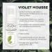 Evolv 1 Hour Violet Mousse: Vitamin-Infused Formula with Exotic Oils & Tea Extracts - Buy Online on GoSupps.com