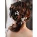 AW BRIDAL Gold Wedding Hair Pins - Floral Bridal Hair Pieces & Comb Clip Set for Brides & Bridesmaids - 2Pcs | Wedding Hair Accessories - Buy Online on GoSupps.com