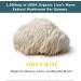 Fundamental Fungi Organic Lion's Mane Mushroom Gummies | 90 Servings | Brain Health Focus Clarity & Memory Mushroom Supplement Gummies | 90 Organic Lions Mane Gummys for Adults - Buy Online on GoSupps.com