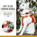 OneTigris Orange Dog Collar with Metal Buckle for Medium Dogs - Durable & Stylish Pet Accessory - Buy Online on GoSupps.com