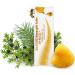 API-REGENT Bee Venom Ointment - 50ml Herbal Oil for Skin Care | Natural Cooling Relief - Buy Online on GoSupps.com