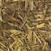 Buy Croci Zoo Med CM-8E Forest Floor Cypress Mulch Substrate for Terrariums - 8.8L (Pack of 2) | International Shipping Available - Buy Online on GoSupps.com