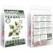 100% Pure Natural Herbal Tea Jasmine Green Tea Bag 150g/5.29oz (3g*50bags) jasmin faible teneur en caf ine ar me floral sans additifs sans OGM - Buy Online on GoSupps.com