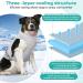 Bamda Dog Cooling Vest 2023 Upgraded Harness Cooler Jacket | Adjustable Titanium D-rings | Breathable Lightweight Cool Pet Vest for Small Large Dogs (Blue M) - Buy Online on GoSupps.com
