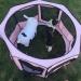 Premium Portable Pet Playpen 45*45*22 - Large Size Puppy Kennel for Small and Medium Pets - Pink, Simple Folding Design - Buy Online on GoSupps.com