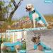 Shop Hjumarayan Cooling Vest for Dogs | Breathable Summer Dog Cooling Coat with D-Rings - Perfect for Hot Days - Size M Blue - Buy Online on GoSupps.com