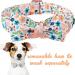Unique Style Paws Peach Flower Dog Collar - Adjustable Cotton Fly Collar for Small Dogs | XS (8-12 in) with Metal Buckle - Buy Online on GoSupps.com