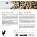 Dry Dog Food - No Corn or Soy - Protein Rich - Puppy Food - Adult Dog Food by Lily & Jax Salmon 2 kg (Pack of 1) Salmon 2 kg (Pack of 1) - Buy Online on GoSupps.com