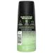 AXE Wild Bamboo Men's Body Spray Deodorant 48hr Odor Protection With Essential Oils Aluminum Free Deodorant Body Spray 4.0oz Grapefruit 4 Ounce (Pack of 1) - Buy Online on GoSupps.com