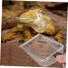BESPORTBLE 3 Pcs Pet Cleaning Tools Reptiles Sand Mesh Shovel Uvlizer Beachcombing Strainer Zoo Stainless Steel 27X10X5CMx3pcs Blackx3pcs - Buy Online on GoSupps.com