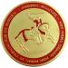 Knights Templar Crusade Cross Gold Masonic Coin - Limited Edition Commemorative Collectible - Buy Online on GoSupps.com
