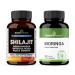 SANDHUHERBALS Shilajit Bundle with Moringa | Capsules for Men & Women | Supports Energy Immune Skin & Gut Health