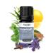 Casida winter force fragrance mixture essential oils similar to mix of Thieves Shield Immunity Protect or Defend - for the cold season - 5 ml - from the pharmacy