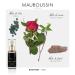 Mauboussin - Pour Elle Body Mist Set : Pour Elle Mist 50ml (1.7 Fl Oz) Elixir Pour Elle Mist 50ml (1.7 Fl Oz) & Rose Pour Elle Mist 50ml (1.7 Fl Oz) - Buy Online on GoSupps.com