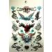 Tapp Collections 280 Temporary Tattoos - M1 Style: Trendy and Durable Body Art - Buy Online on GoSupps.com