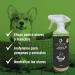 Buy Ecodor UF2000 4Pets Urine Odor Neutralizers Duo Pack (2x 500ml) - 100% Organic Powerful Formula for Dogs Cats & Small Animals - Buy Online on GoSupps.com