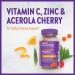 New Chapter Vitamin C+ Gummies - Immune Support with Acerola Cherry - 60ct - Buy Online on GoSupps.com