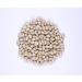 Thompson's White Pea Beans 12 unit Case 907 g (Pack of 12) - Buy Online on GoSupps.com