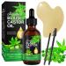 Gua Sha Massage Tools Castor Oil Set Jamaican Black Castor Oil Organic Organic Cold Pressed Black Castor Oil 100% Pure Castor Oil for Body Massage Scraping Board Paired Support of Skin Care Face Oil