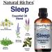 Natural Riches Tranquility Serenity Essential Oil Blends Set - Calm Sleep, Headache Relief - 3 x 10ml - Buy Online on GoSupps.com