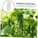 Toddmomy Garden Fruit Mould 8 Pcs Vegetable Shaping Mold Cucumbers Fruit Mold Fruit and Vegetable Suite Gourd - Buy Online on GoSupps.com