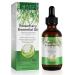 Rosemary Hair Growth Oil  Hair Loss Treatment  Stimulates Hair Growth  Strengthens Hair  Nourishes Scalp  Rid of Itchy and Dry Scalp  Improves Blood Circulation for Men and Women 2.02 Oz (60 mL)