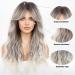 HAIRCUBE Long Grey Synthetic Hair Wig with Fringe for Women - Shop Now! - Buy Online on GoSupps.com