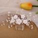 Hairdress Wedding Bride Hairdressing Communion Girl Bride Wedding Hair Combs Flower Pearl Headdresses Hairdress Women Bride Crystal Leaf Hair Casting For Women and Girls (Silver)