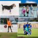 12 Pack Sweatband Wristbands - Absorbent Football & Basketball Gear for Athletes - Buy Online on GoSupps.com