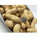 Executive Deal Peanuts in Shell for Birds, Squirrels, Deer, Wildlife - 2 lb (32 oz) - Buy Online on GoSupps.com