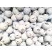 Nike Mix Golf Balls - Top Styles! 24 Near Mint Quality Used Golf Balls - AAAA RBZ One Tour and More (White, One Size) - Buy Online on GoSupps.com