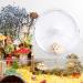 BUCATSTATE Hamster Wheel Silent 21cm Dual-Bearing Hamster Exercise Wheel Quiet Spinning for Syrian/Dwarf Hamster Gerbils Mice Degus Or Other Small Animals (White) 21cm white - Buy Online on GoSupps.com