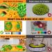 Interactive Snuffle Mat for Small to Medium Dogs, Puppies & Cats - Enrichment Toy for Boredom, Stimulation, and Stress Relief - Buy Online on GoSupps.com