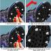 22 Pieces Sprint Replacement Spikes for Sports Shoes - 7mm Length 5mm Diameter with Wrench - Ideal for 100-400m Rubber Track Racing - Buy Online on GoSupps.com