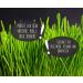 Organic Wheatgrass Powder (500g) - Premium Raw Food Quality from German Cultivation | Achterhof - Buy Online on GoSupps.com