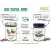 Buy Broccoli Sprouts - 35mg Sulforaphane per Dose | Gently Dried & Ground | 85g | No Additives | Nutritional Garage - Buy Online on GoSupps.com