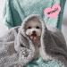 RIKMSS 4 Pack Pet Blankets - Small Animal Blankets for Dogs and Cats - Super Soft Coral Fleece - 28L x 16W - All Seasons - M 26 x 18 - Buy Online on GoSupps.com