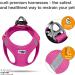 Buy Curli Vest Harness Air-Mesh Fuchsia M | Comfortable & Durable D-Ring Buckle for Dogs - Ships Internationally - Buy Online on GoSupps.com